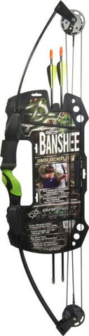 Team Realtree Banshee Quad