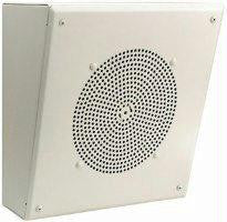 Angled Front Amplified Metal Box Speaker