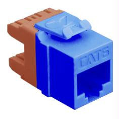 Module- Cat 6- Hd- Blue