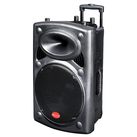 12in Portable Bluetooth Dj Speaker