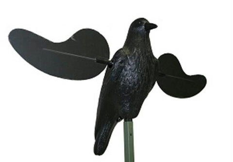 Mojo Crow