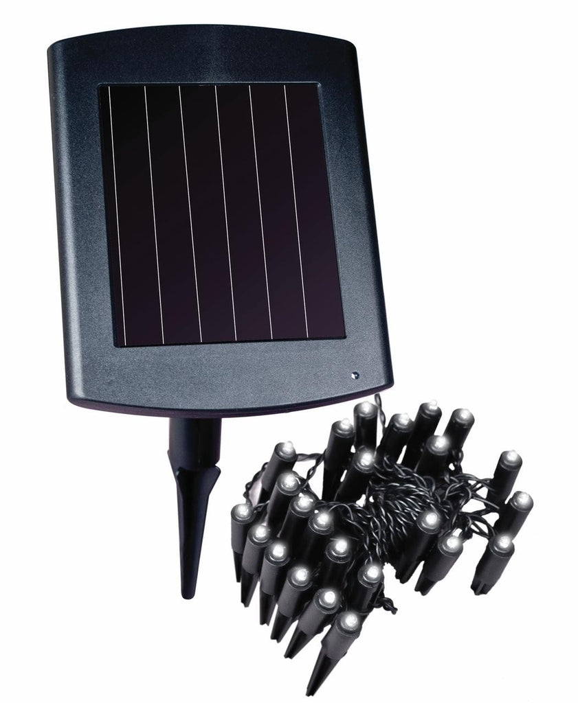 Solar-powered Plant And Border Light