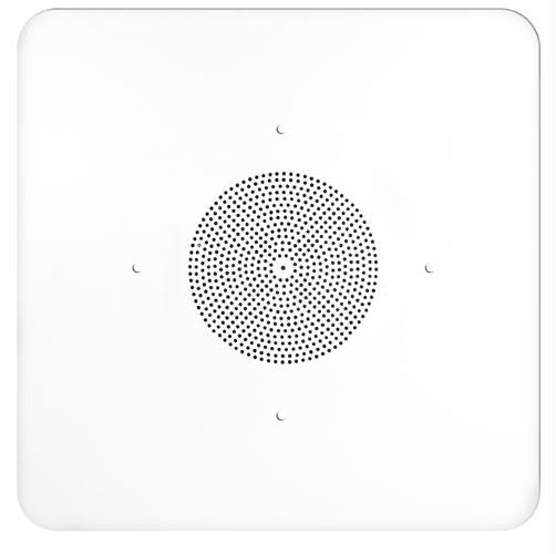 2'x2' G86 Ceiling Tile Speaker