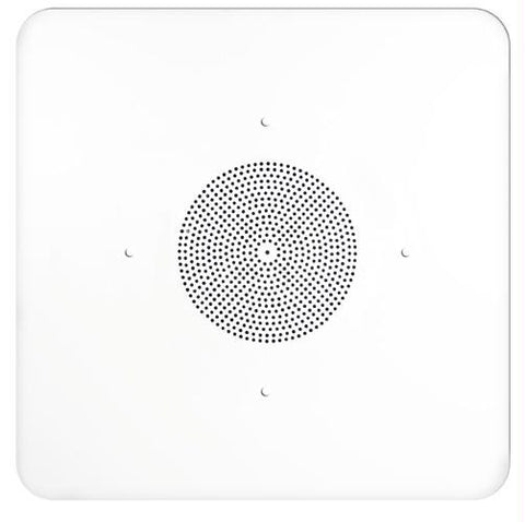 2'x2' G86 Ceiling Tile Speaker